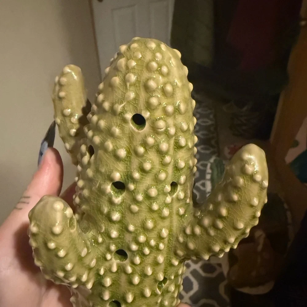 Green Cactus smelly good for house